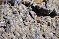 Des fossiles sur les cretes du M'Goun