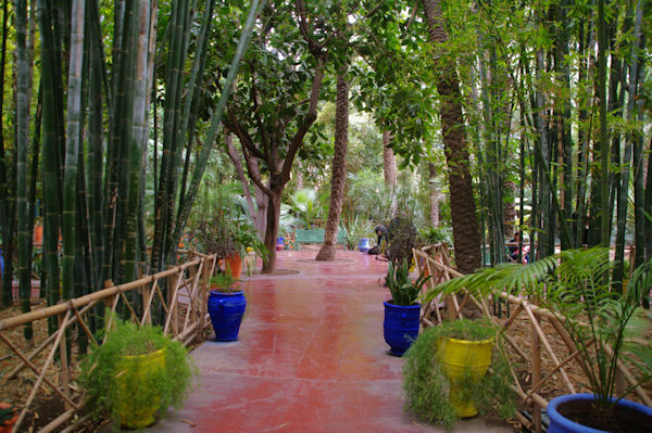 Les bambous de Majorelle
