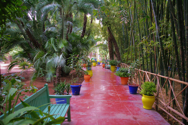 La jungle  Majorelle