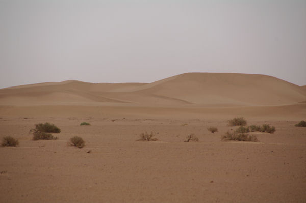 Les dunes de Mosmo