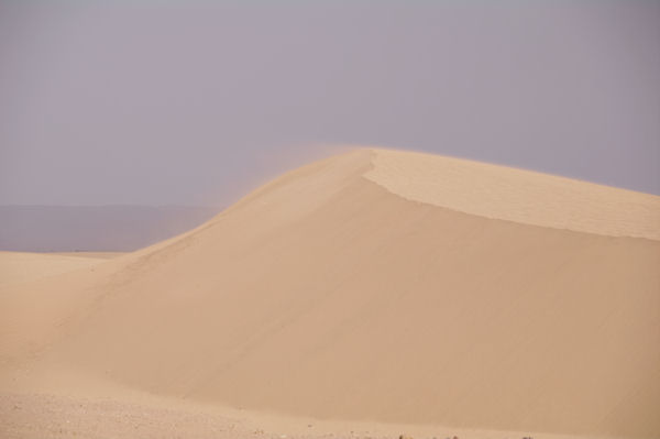 Dune vente!