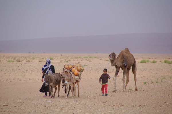 Touareg venant chercher de l_eau au puit
