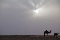 Lever de soleil sur l'Oued el Atach