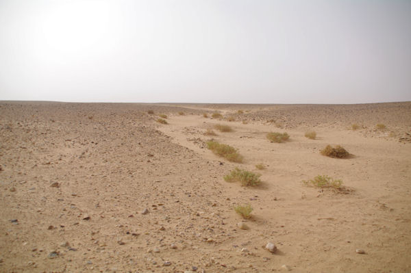 L_Oued el Atach, plat
