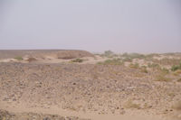 Les rives de l'Oued el Atach asseche