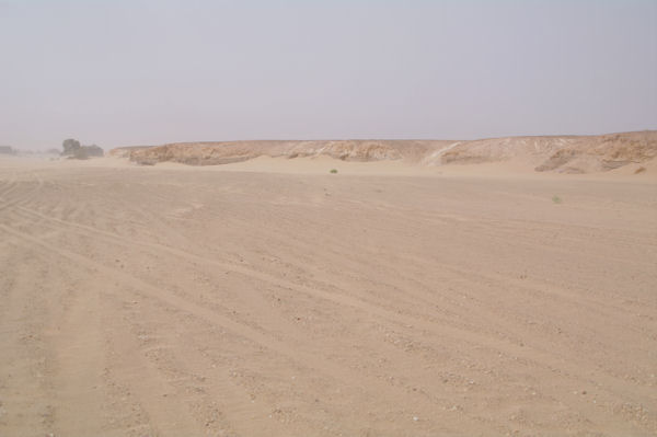 Les rives de l_Oued el Atach assch
