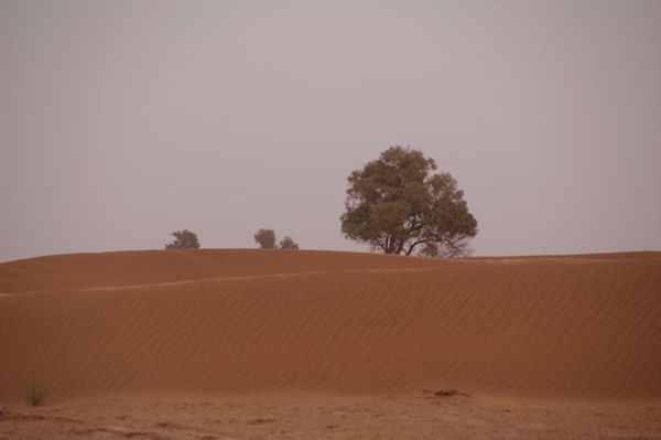 Les dunes  Rass Nkhal
