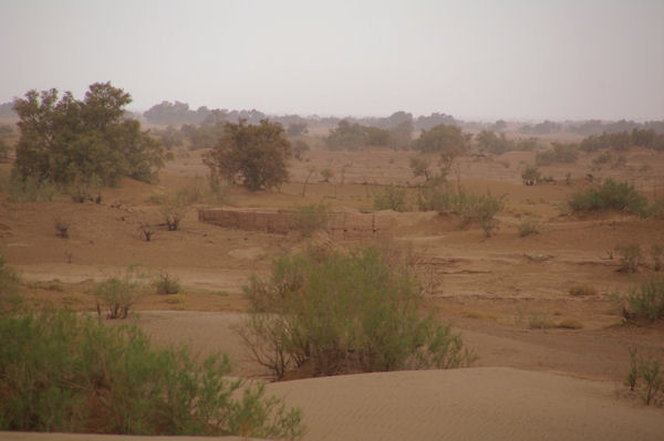 Une ancienne habitation au bord du Draa