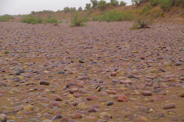 Les galets du Draa