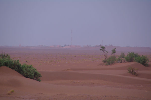 M_Hamid est en vue