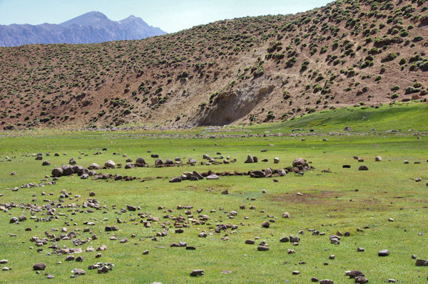 Un peu de verdure dans le vallon suprieur de l_Assif Anougr Saln