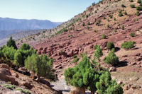 Belles couleurs rouges en arrivant au reservoir d'Ait Imi