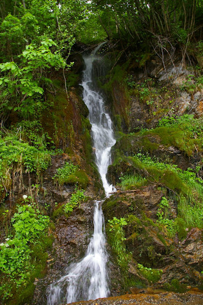 Au dpart de la randonne sur la D8, le ton est donn: De l_eau et de la verdure!