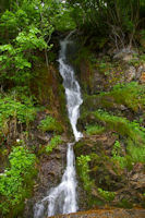 Au dpart de la randonne sur la D8, le ton est donn: De l_eau et de la verdure!