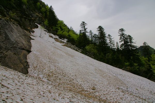 Une coulée d_avalanche sous le Tuc de Lausis