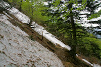 Une coule d_avalanche sous le Tuc de Pdire