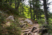 Le GR10 sous le Tuc de Pdire