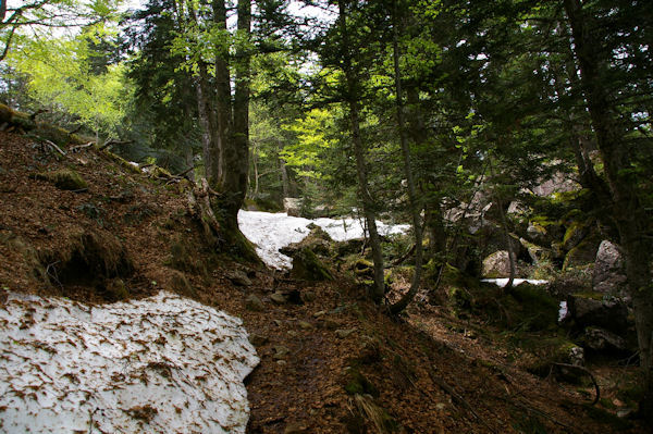 Le GR10 sous le Tuc de Pdire