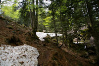 Le GR10 sous le Tuc de Pdire