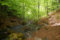 Le gu sur le ruisseau descendant de l_tang de Guzet