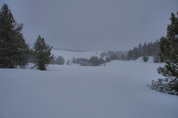 Une combe sous les 4 Chemins