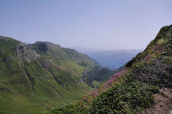 Le vallon du Saleix