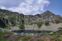 L'Etang d'Alate domine par le Mont Garias