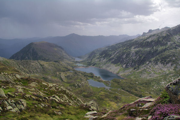 Etang du Pla de la Fount, Etang Majeur, Etang Long et Etang d_Escals