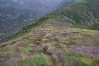 La crete Sud du Pic de Cabanatous