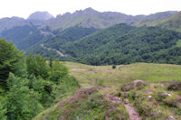 Le vallon de Coumebire, au fond, la Pique et le Tuc de Pedrous