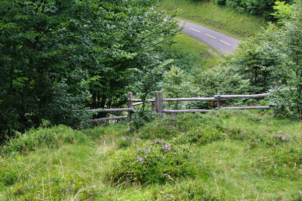 Passe  montons avant la route du col d_Agns