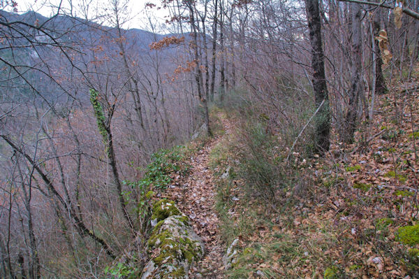 Le sentier un peu troit!