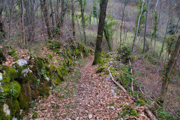 Descente sur Preille