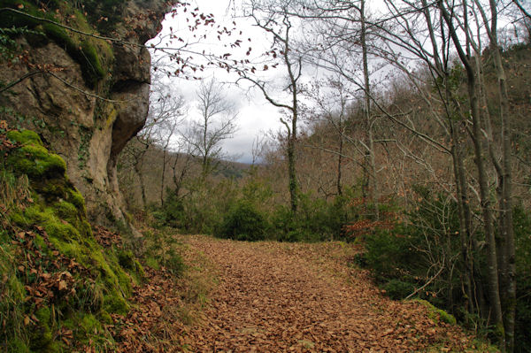 Le chemin dans les Gorges de Preille