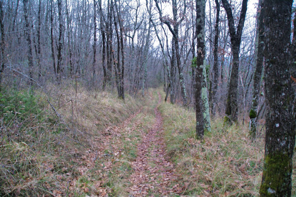 Le chemin au Grand Barral