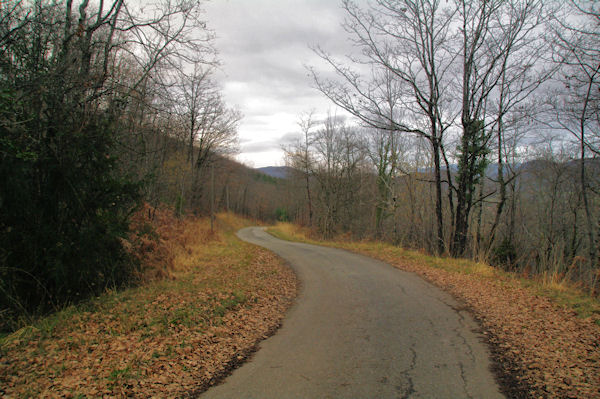 La petite route descendant vers Rabaute