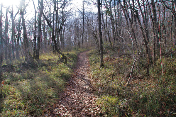 Le large sentier menant vers Barthe Grande