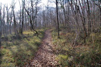 Le large sentier menant vers Barthe Grande