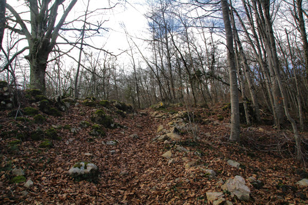 Arrive sur la crte Est du Cap de Cambire