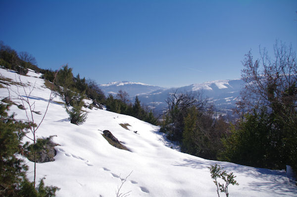 Monte au dessus du Col del Bouich