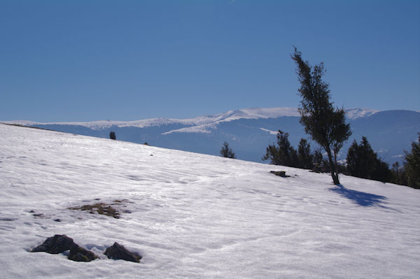 Au centre le Rocher Batail et le clbre Picou