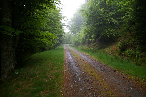 Le chemin sous le Sommet de Cap Long