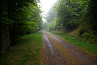 Le chemin sous le Sommet de Cap Long