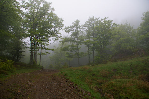 La seconde bifurcation sous le Pic de Fontfrede