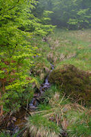 Un petit ruisseau qui descend de Pic de Fontfrede