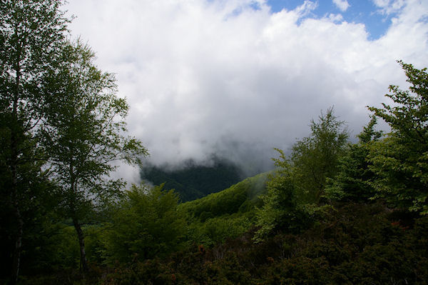 La valle de Boussenac  travers les nuages depuis la crte Est du Cap du Carmil