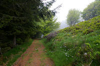 Le sentier sous le Sommet de Cap Long