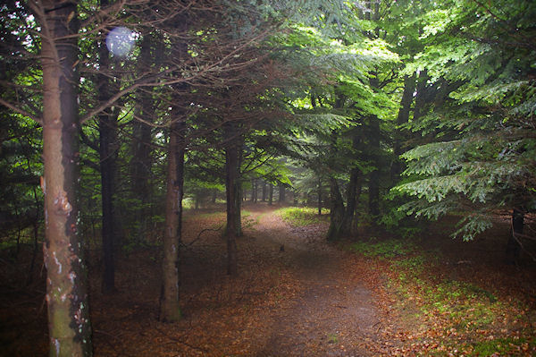 Le sentier sous le Pic de Jouels