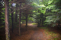 Le sentier sous le Pic de Jouels