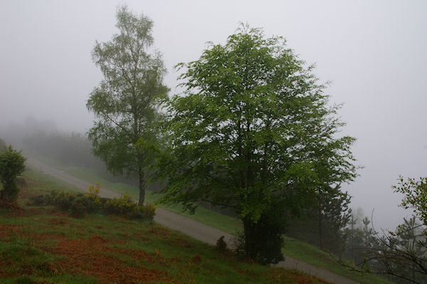 En arrivant au Col d'Uscla